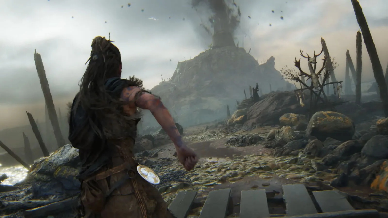 senua 03.jpg cropped